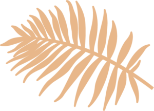 feuille de palmier