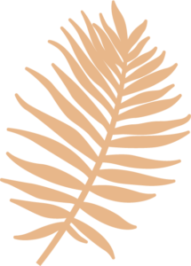 feuille de palmier